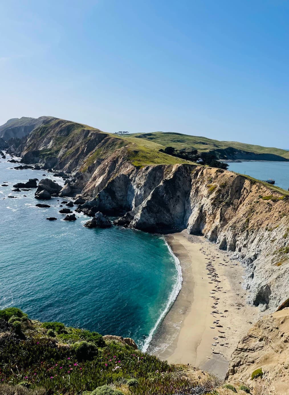 Chimney Rock at Point Reyes