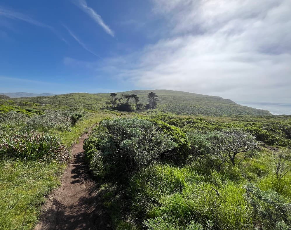 Tomales Point Trail